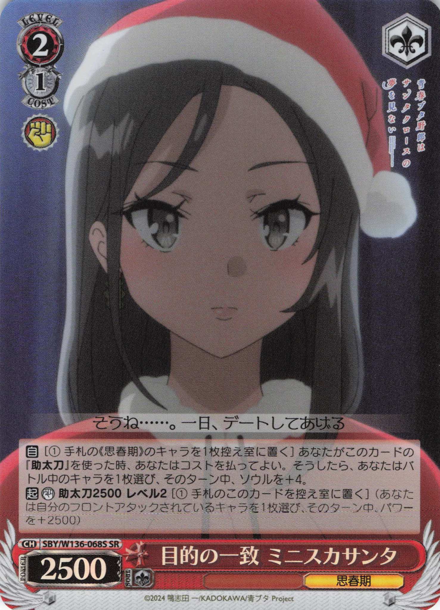 目的の一致 ミニスカサンタ(SR)(SBY/W136-068S)